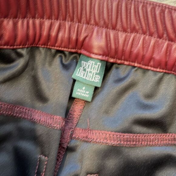 Wild Fable Pleather cargo pants size small - Picture 3 of 3